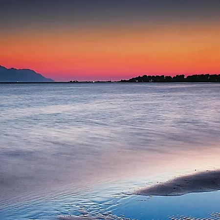 Amazing In Desne
